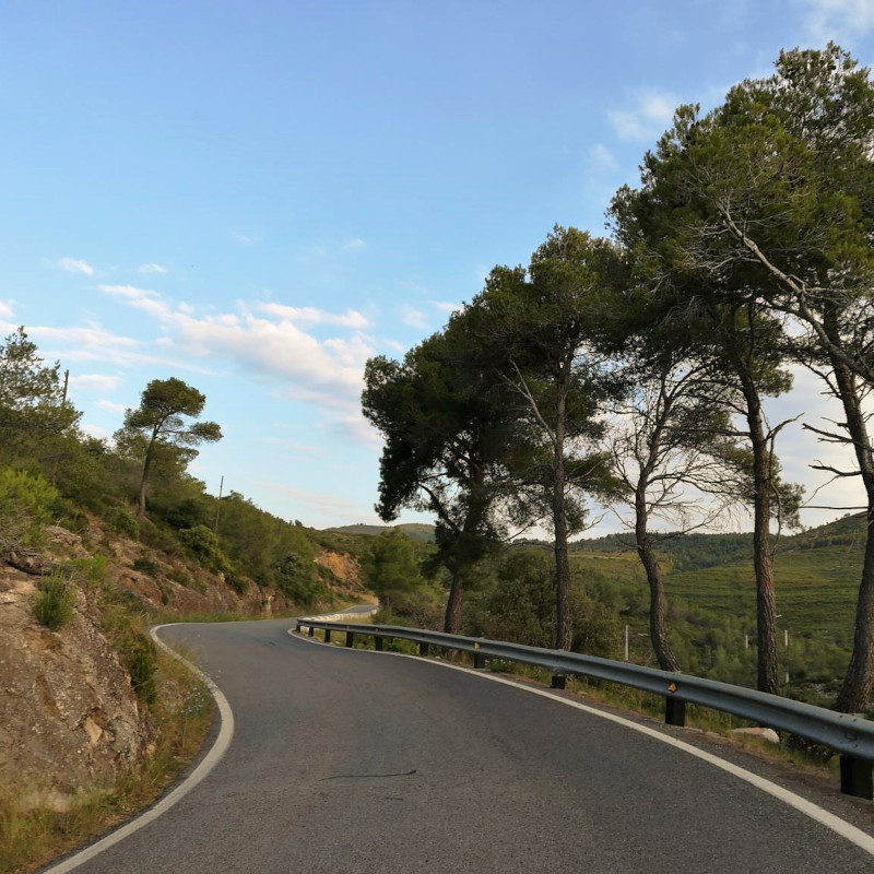 Imatge referent a la Pujada de les Ventoses, part d'aquesta ruta en btt
