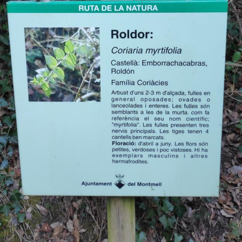 Imatge referent a la ruta de la natura situada al Montmell