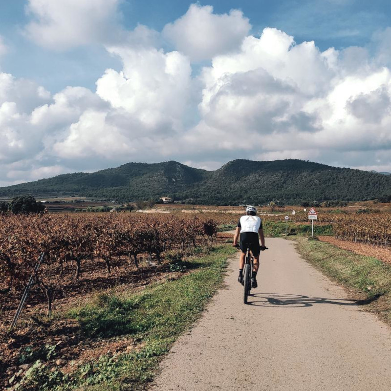 Imatge referent a la ruta de les quatre fites i pi sol, a Sant Jaume