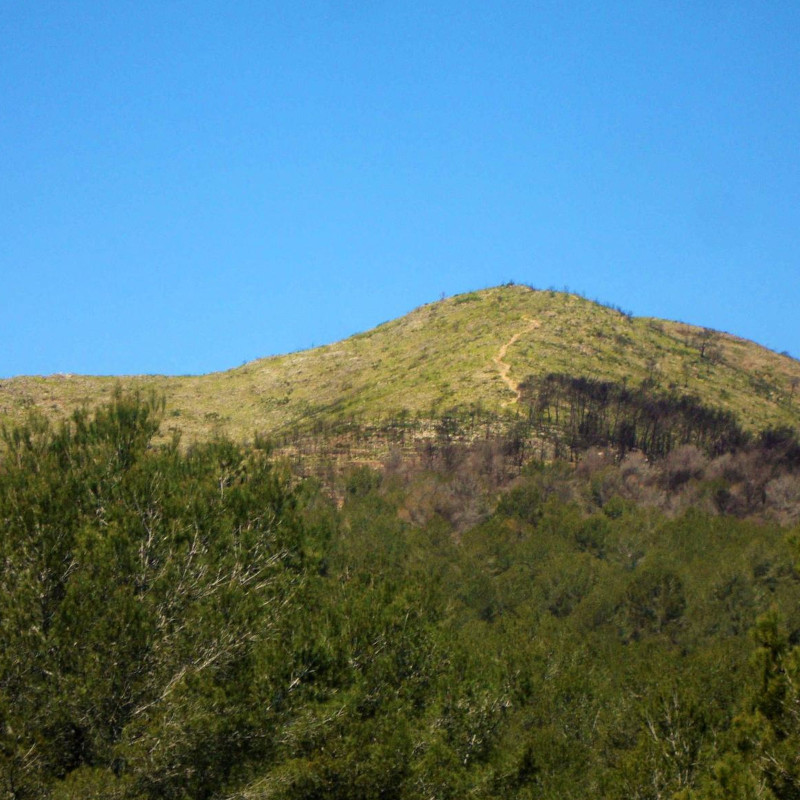 Imatge referents a la ruta de la Mola de Bonastre