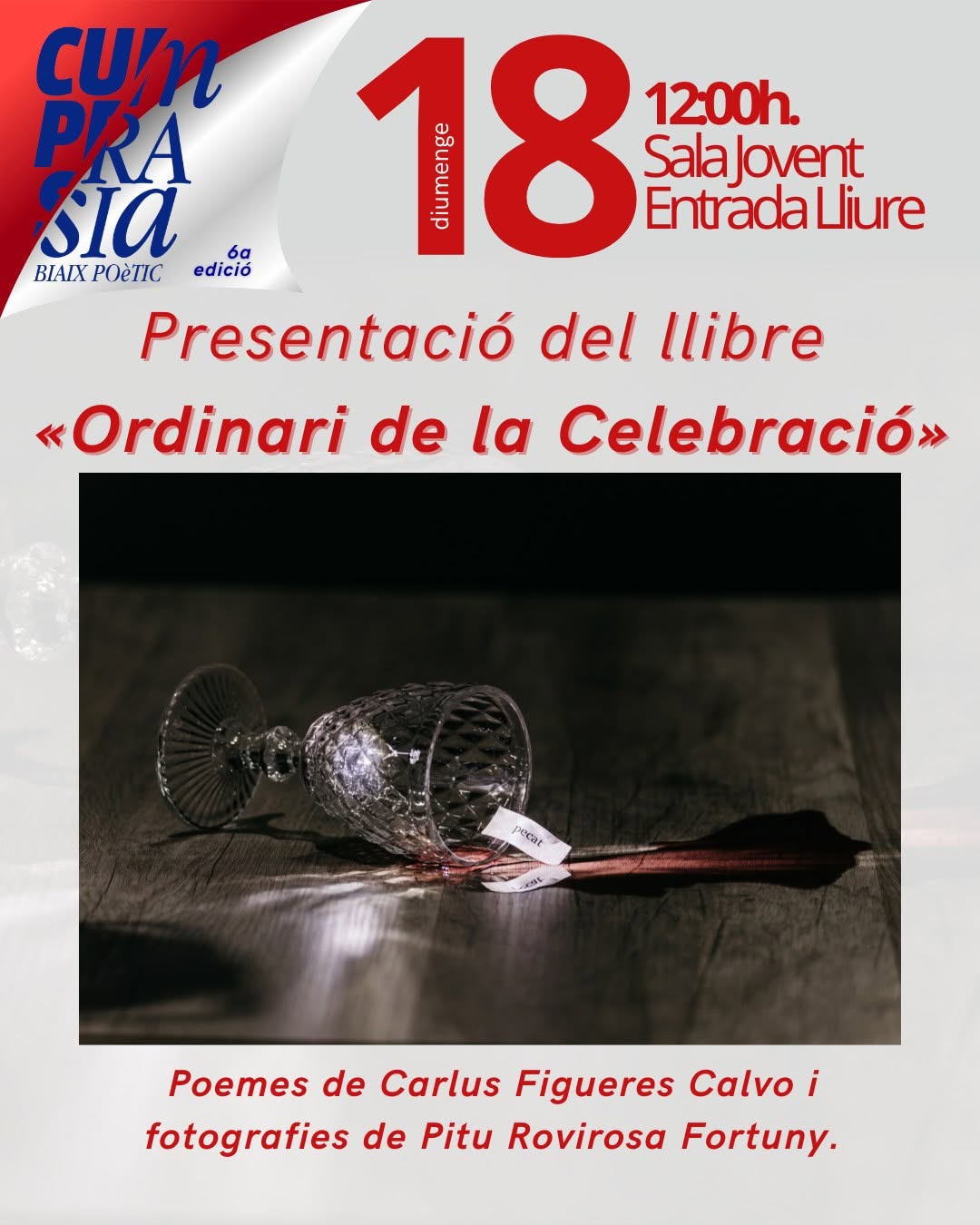 Cartell de l'activitat