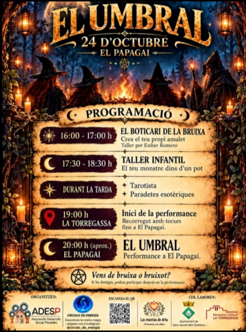 Cartell de l'activitat