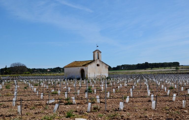 Imatge de la Capella de Sant Roc