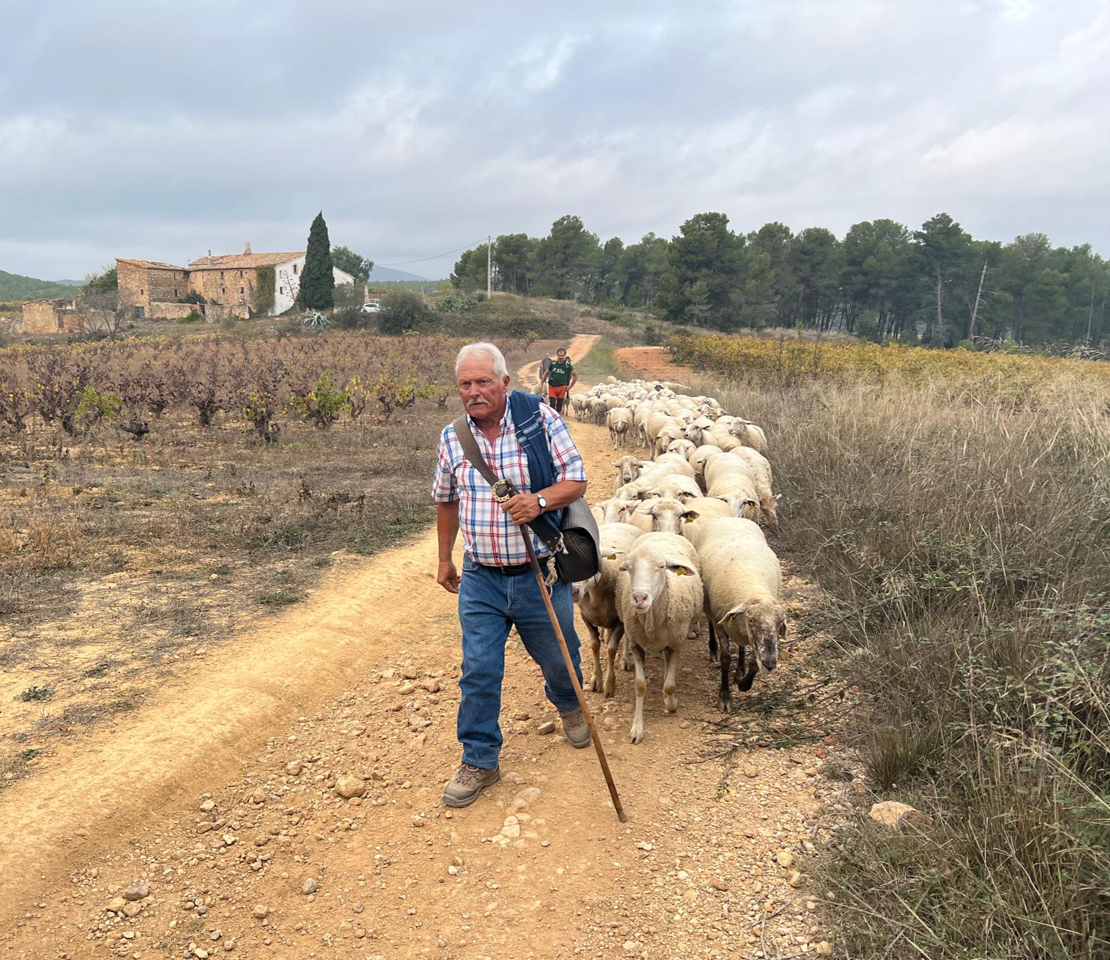 Salvador, el pastor que guiarà les ovelles.