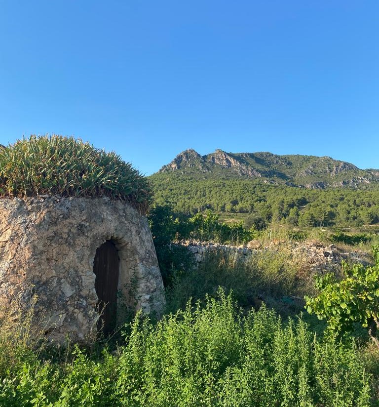 Una barraca al Montmell