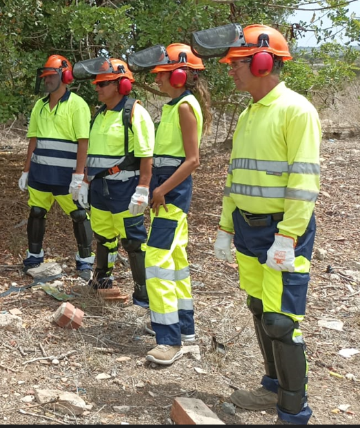 treballador forestal