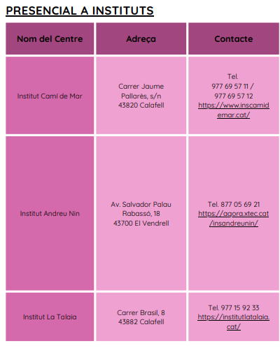 FP Dual presencial a instituts