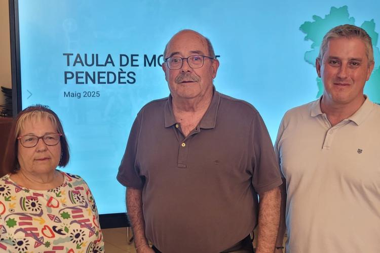 Imatge de la reunió