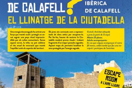 Cartell de l'activitat