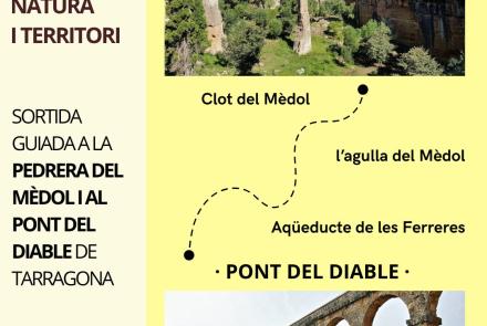 Cartell de l'activitat