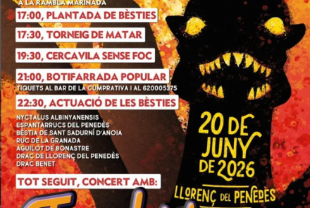 Cartell de l'activitat