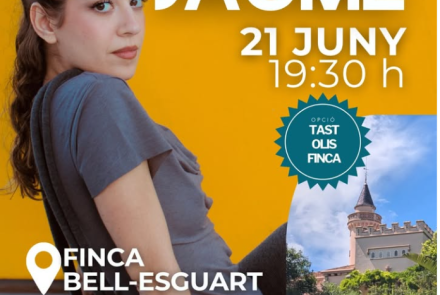 Cartell de l'activitat