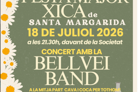 Cartell de l'activitat