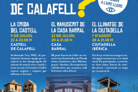 Cartell de l'activitat