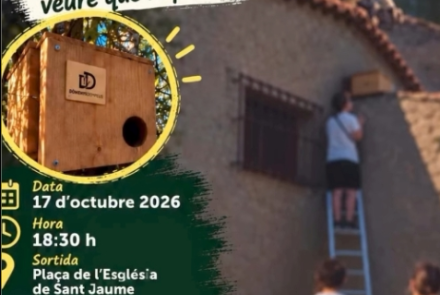 Cartell de l'activitat