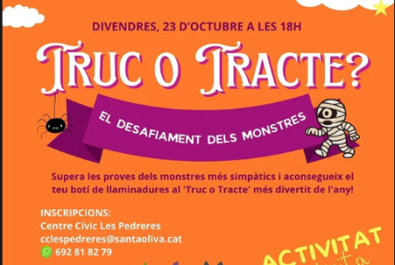 Cartell de l'activitat