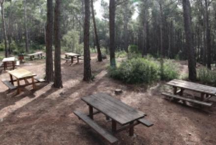 Àrea recreativa forestal de Montmell