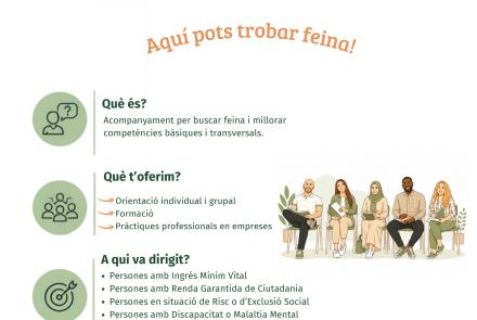 Cartell porgrama MAIS